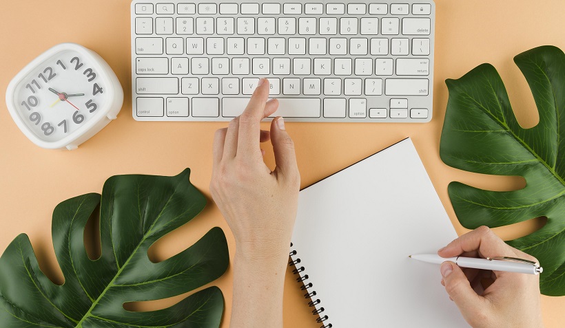 SEO Content Writer